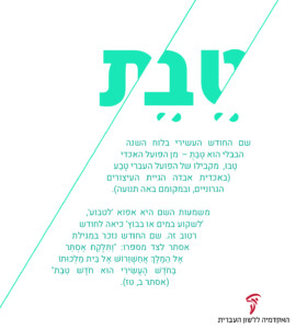 טבת- שם החודש העשירי בלוח השנה הבבלי הוא טבת - מן הפועל האכדי טבו, מקבילו של הפועל העברי טבע (באכדית אבדה הגיית העיצורים הגרוניים, ובמקומם באה תנועה). משמעות השם היא אפוא ׳לטבוע׳, ׳לשקוע במים או בבוץ׳ כיאה לחודש רטוב זה. שם החודש נזכר במגלית אסתר לצד מספרו: ״ותלקח אסתר אל המלך אחשורוש אל בית מלכותו בחדש העשירי הוא חדש טבת״ (אסתר ב,טז)