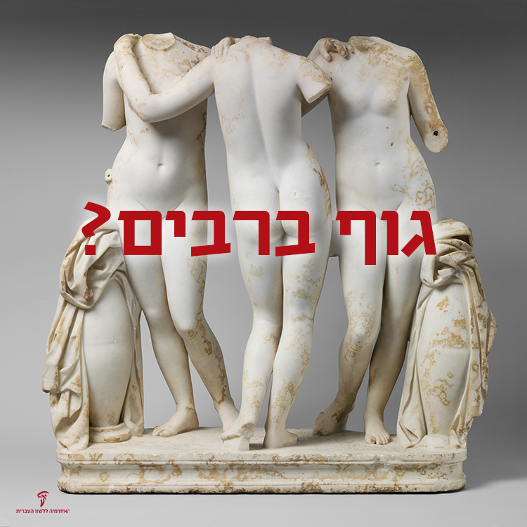תמונה של פסל ובו גופיהן של שלוש נשים. כותרת - גוף ברבים?