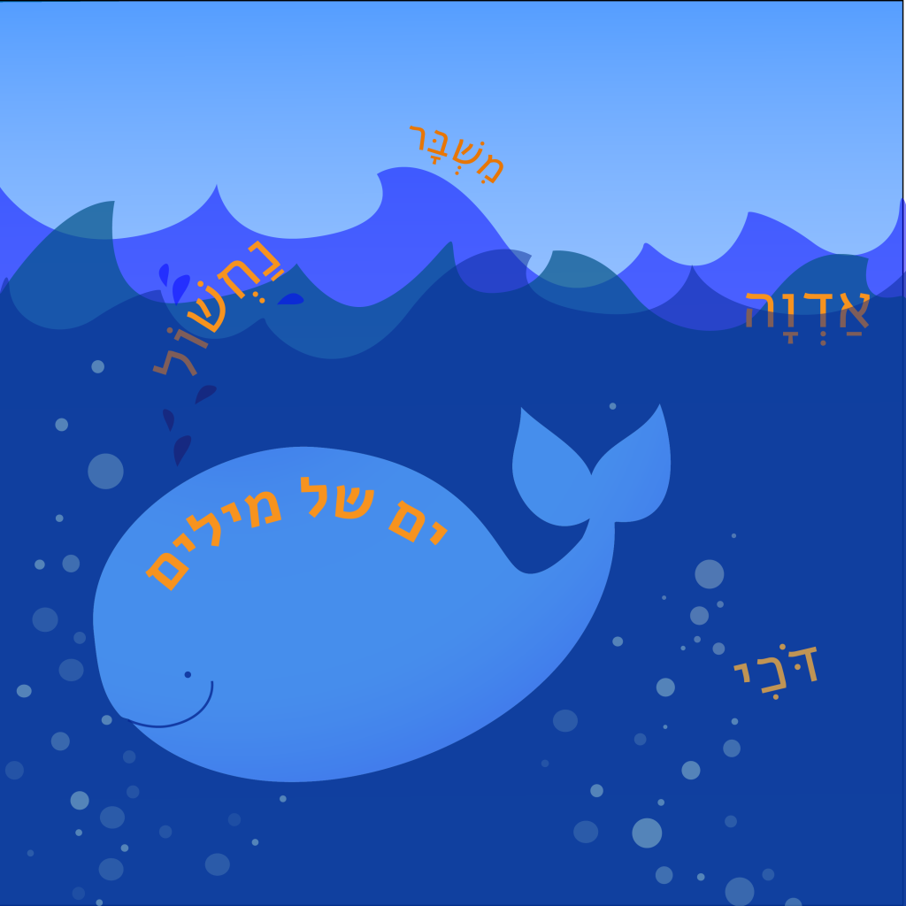 ים של מילים