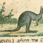 ארך הרגלים