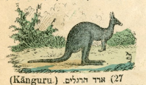 ארך הרגלים