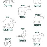 איורים של חיות ושל הקולות שהן עושות: דוב נוהם, חתול מיילל, חמור נוער, כבשה פועה, פיל מחצצר, סוס צוהל, יונה הומה, תרנגול קורא