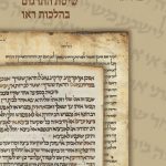 יוחנן ברויאר מארמית לעברית: שיטת התרגום בהלכות ראו