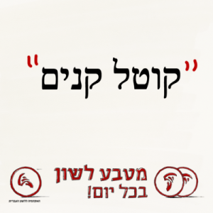 מטבע לשון בכל יום – קוטל קנים