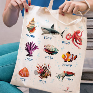 תיק חוף ים תמנון עמלץ קונכיה שושנון צדפה אלמוג דיונון זהרון צדף