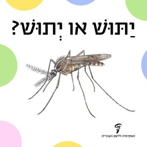 יַתּוּשׁ או יְתוּשׁ?