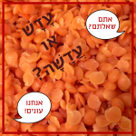 צילום של עדשי מאכל - אתם שאלתם? אנחנו עונים! עדש או עדשה?