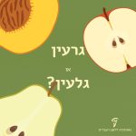 איור של חצאי תפוח, אגס ואפרסק עם הגרעינים והגלעינים והכיתוב גרעין או גלעין?