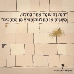 איור של הכותל המערבי בירושלים. כיתוב: הינה זה עומד אחר כתלנו, משגיח מן החלונות מציץ מין החרכים"