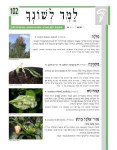 למד לשונך 102