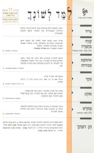 למד לשונך 11