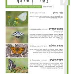 שער למד לשונך 125