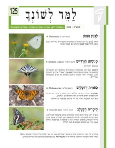 למד לשונך 125