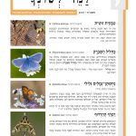 שער למד לשונך 126