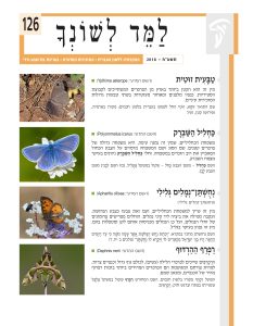 למד לשונך 126