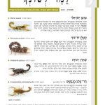 למד לשונך 129