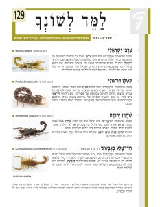 למד לשונך 129