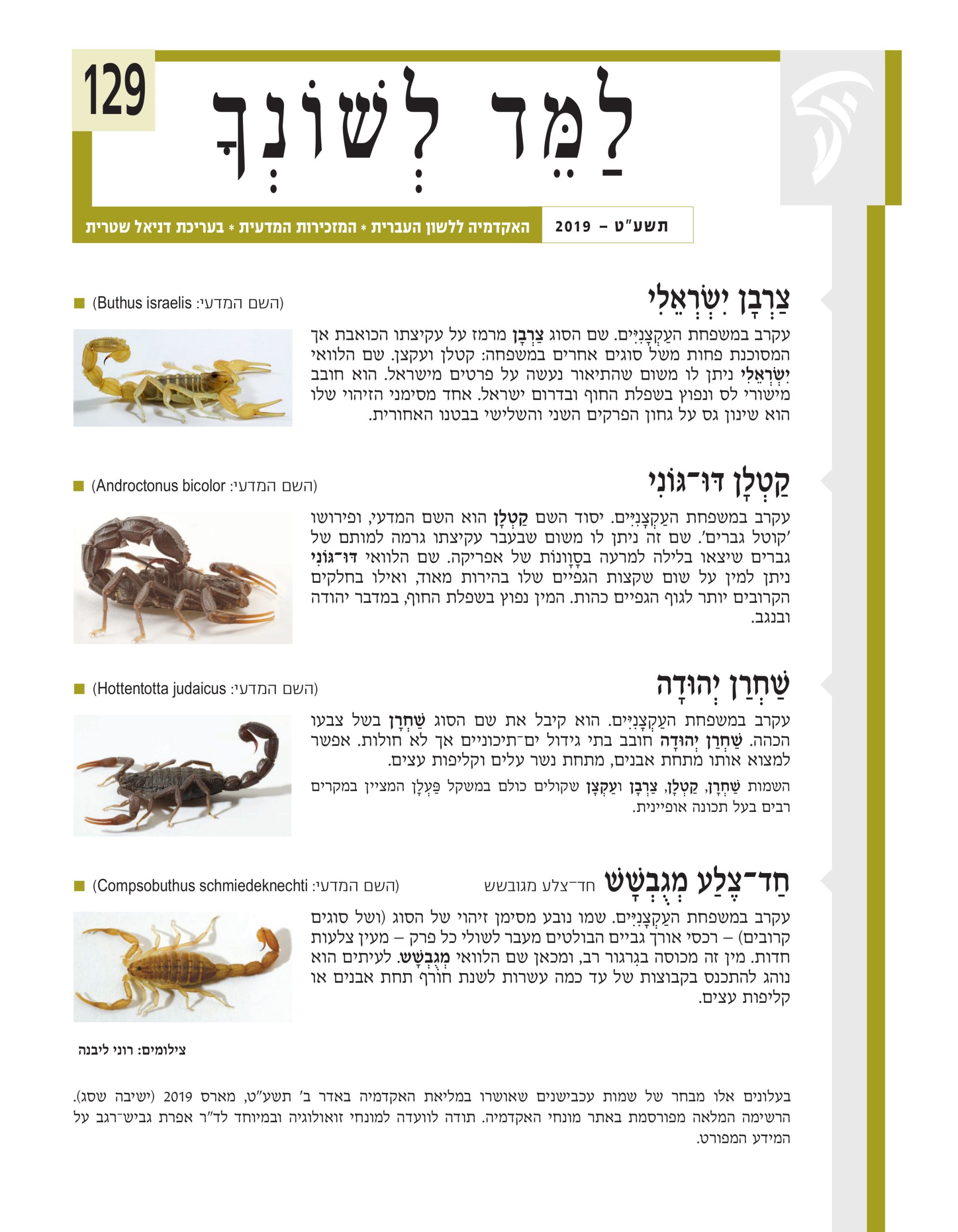 למד לשונך 129