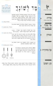 למד לשונך 13