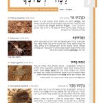 למד לשונך 130