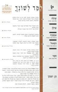 למד לשונך 24