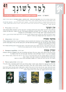 למד לשונך 41