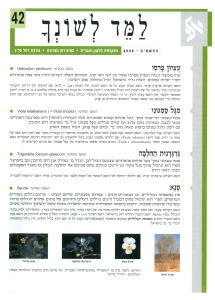 למד לשונך 42