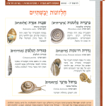 גיליון למד לשונך 60