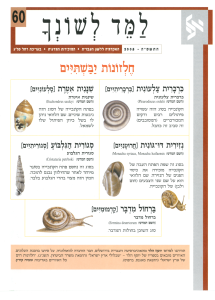 למד לשונך 60
