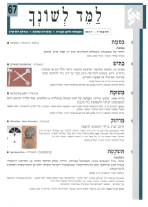 למד לשונך 67