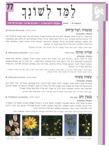 למד לשונך 77