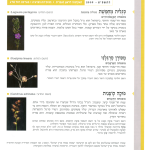 גיליון למד לשונך 78