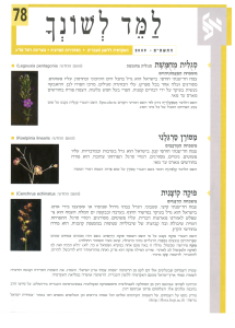 למד לשונך 78
