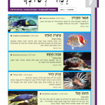 גיליון למד לשונך 95