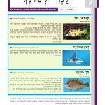 גיליון למד לשונך 96