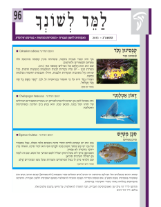 למד לשונך 96
