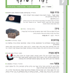 גיליון למד לשונך 99