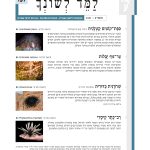 למד לשונך גיליון 137