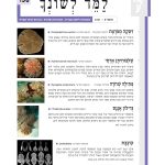 למד לשונך גיליון 138