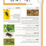 שער גיליון למד לשונך 123