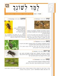 למד לשונך 123