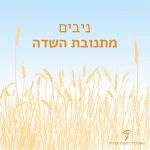איור שדה שיבולים והכיתוב: ניבים מתנובת השדה