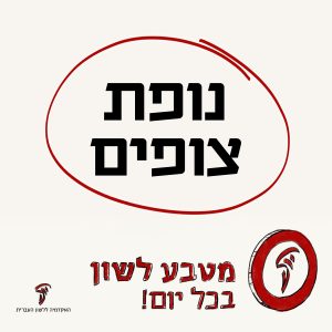 נופת צופים, מטבע לשון בכל יום!