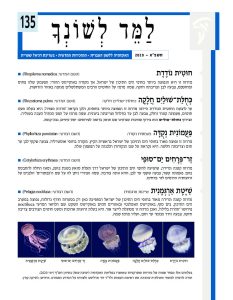 למד לשונך 135