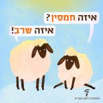 איור של שני כבשים – האחד שואל: איזה חמסין? השני עונה: איזה שרב!