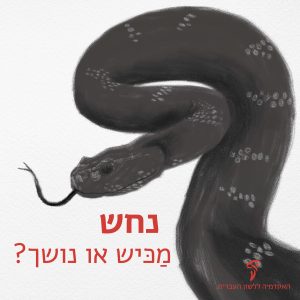 נחש - מכיש או נושך?
