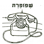 שפופרת (שפורפרת)