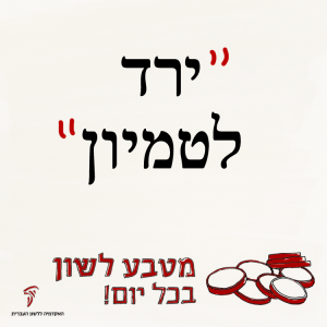 ירד לטמיון - מטבע לשון בכל יום