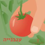איור של יד אוחזת בעגבנייה וכיתוב עגבנייה