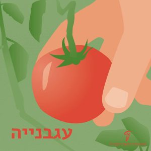 איור של יד אוחזת בעגבנייה וכיתוב עגבנייה